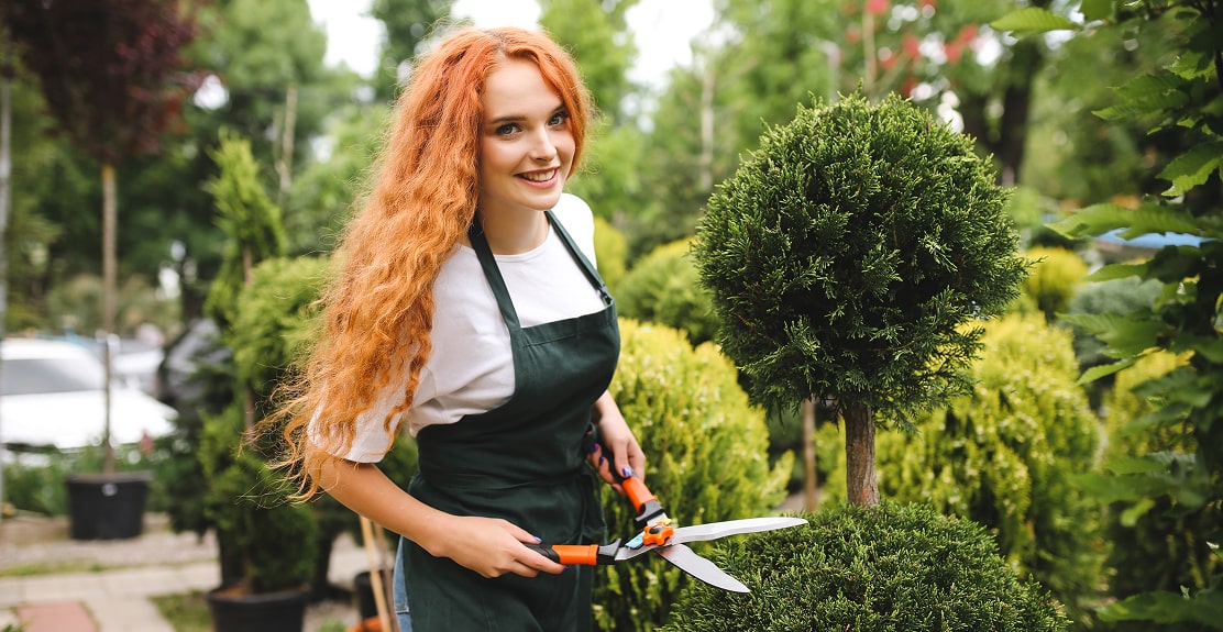 About Property Care