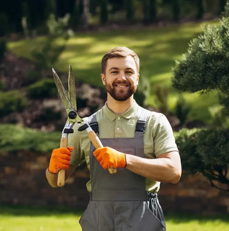 Property Maintenance