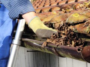 Gutter Cleaning
