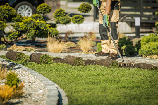 Professional landscape designing