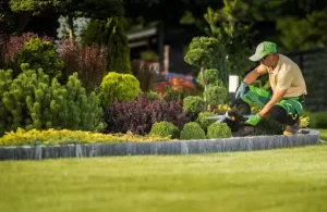 How Regular Property Care Improves Property Value in Auckland