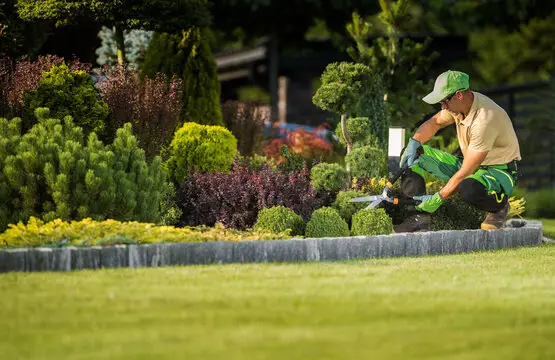 Gardener working in a Garden