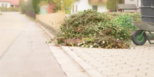 The Overlooked Importance of Green Waste Removal After Hedge Trimming Services