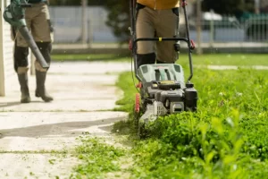 Lawn Mowing And Edging