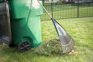Green Waste Removal
