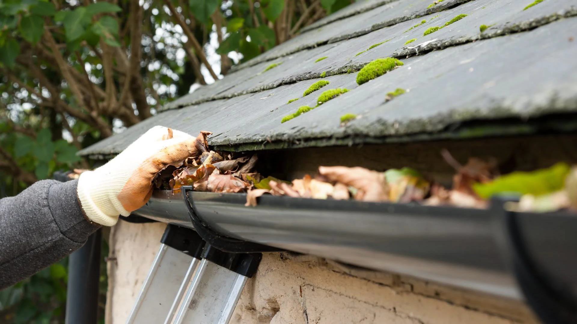 Gutter cleaning service