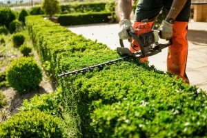 Gardening And Hedging Work