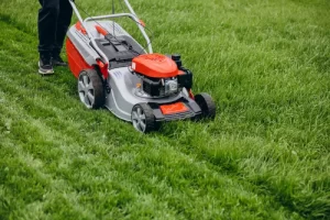Seasonal Lawn Maintenance Guide for Auckland Properties