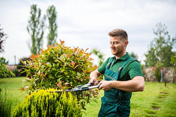 Gardening service in auckland